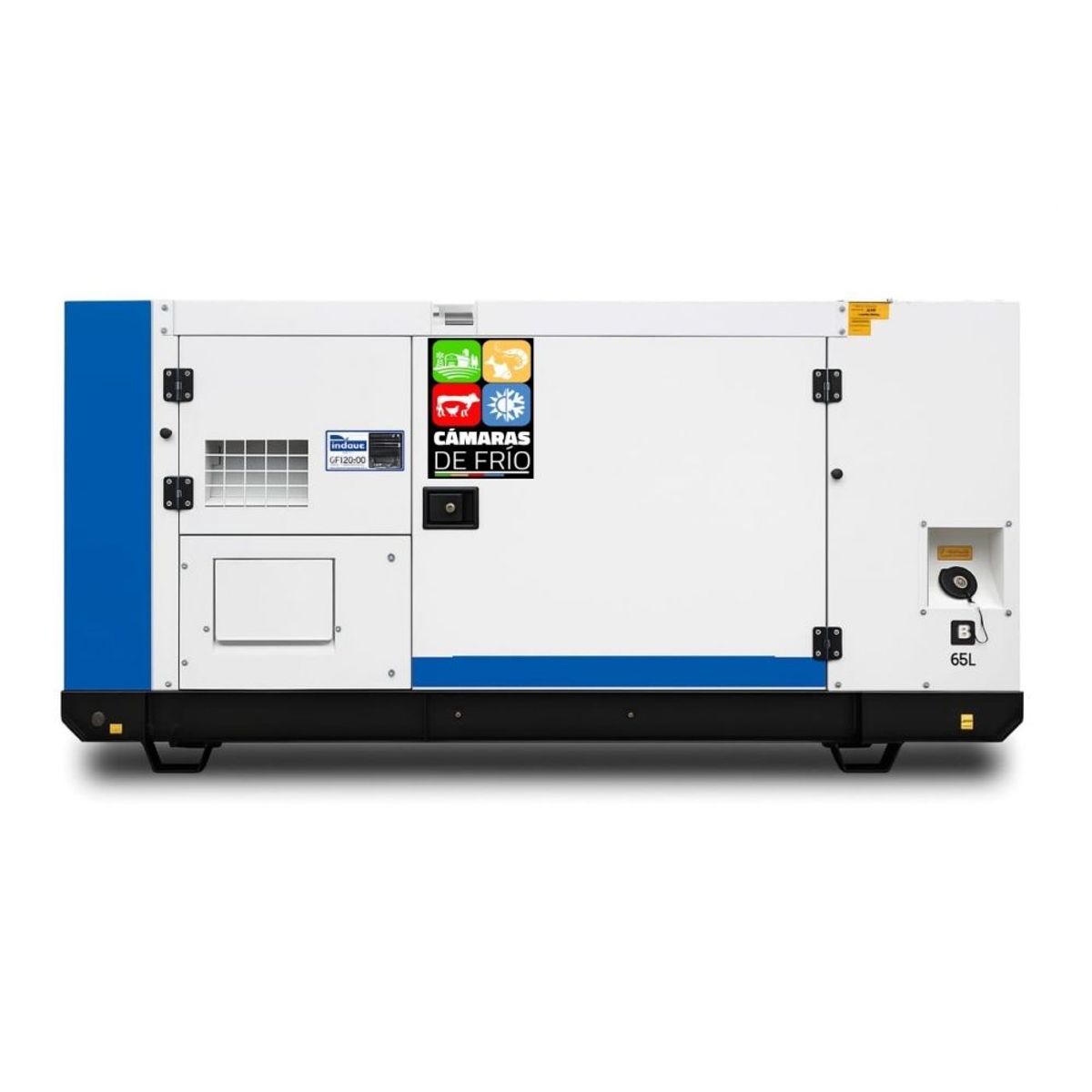 GENERICO - GENERADOR DIESEL YANGDONG 11 KVA 220V