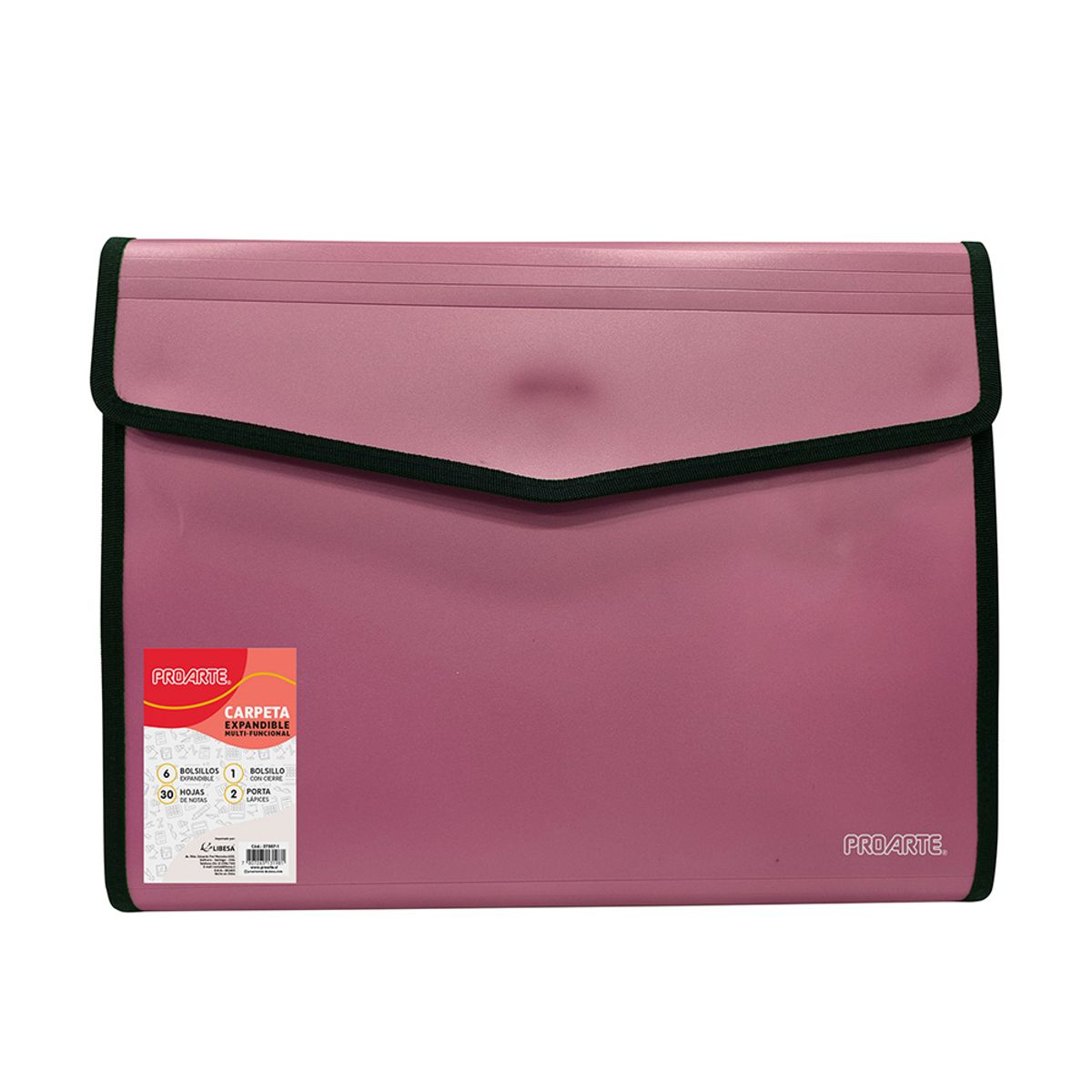 PROARTE - Carpeta A4 Portafolio Con Compartimientos Proarte Surtido