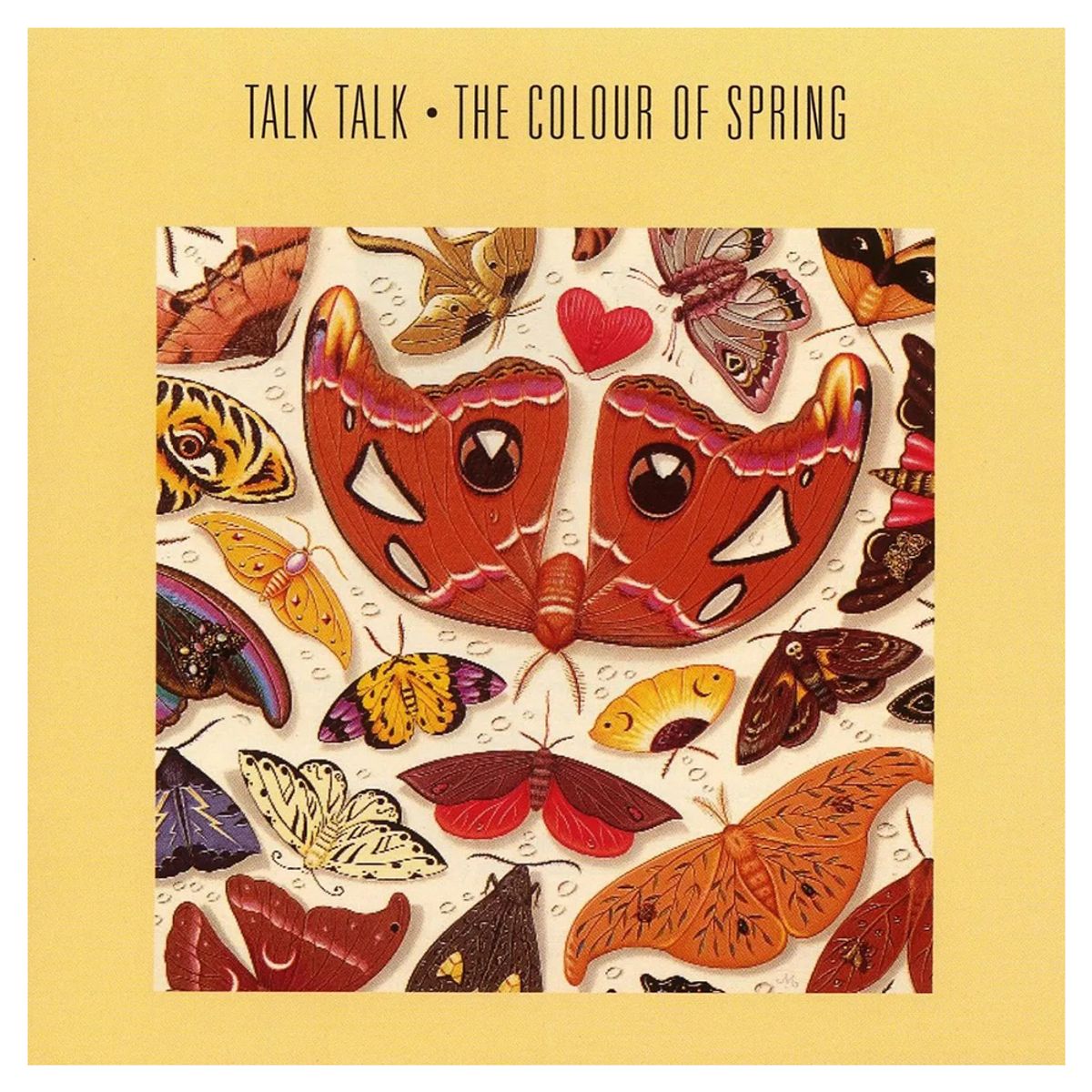 EMI - Talk Talk - The Colour Of Spring Vinilo + DVD