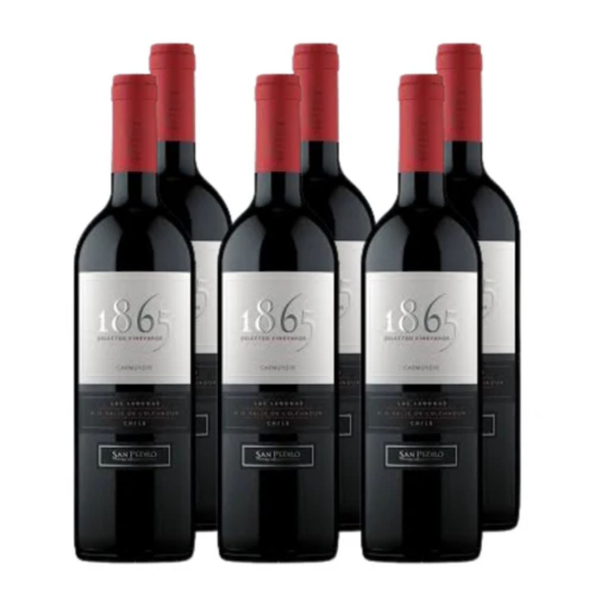 SAN PEDRO - x6 Vino 1865 Selected Vineyards Carmenere 750 cc