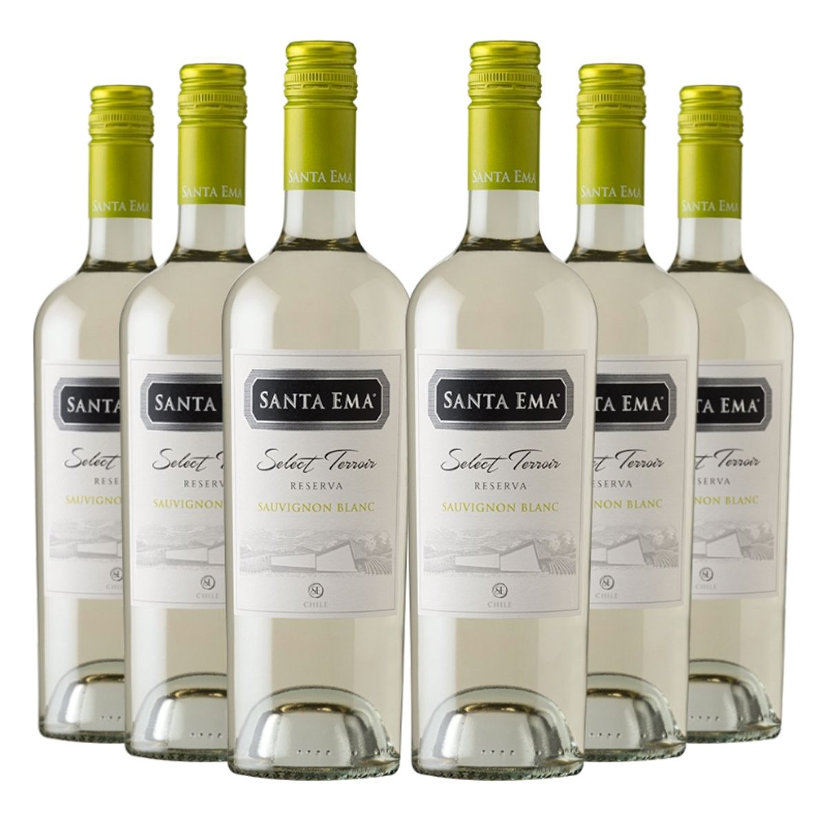 SANTA EMA - 6 vinos Santa Ema S Terroir Rva S. Blanc