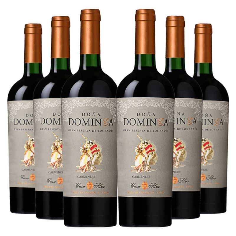 DONA DOMINGA - 6 vinos Doña Dominga Gran Reserva Carmenere
