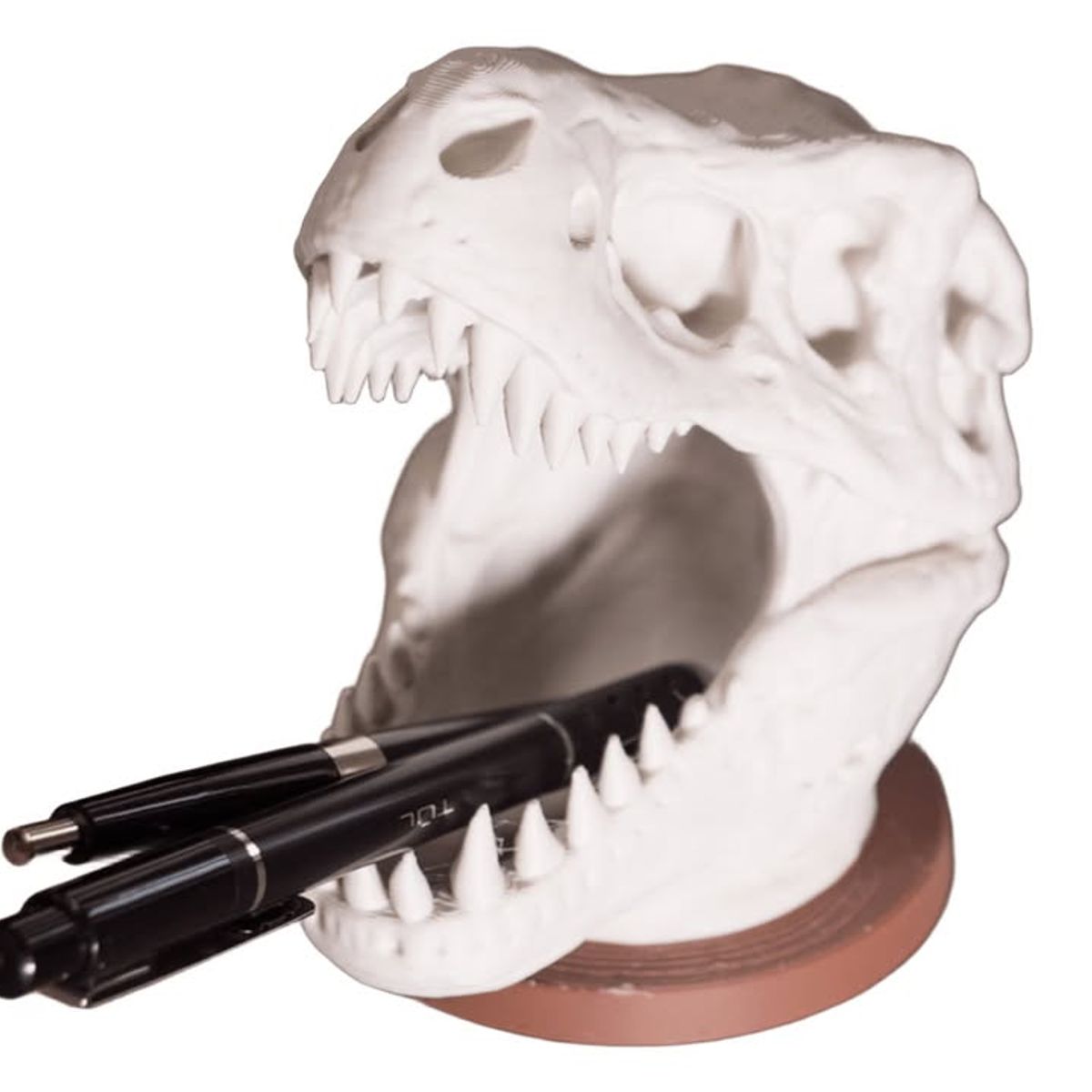 GENERICO - Portalápices - Calavera de T-REX