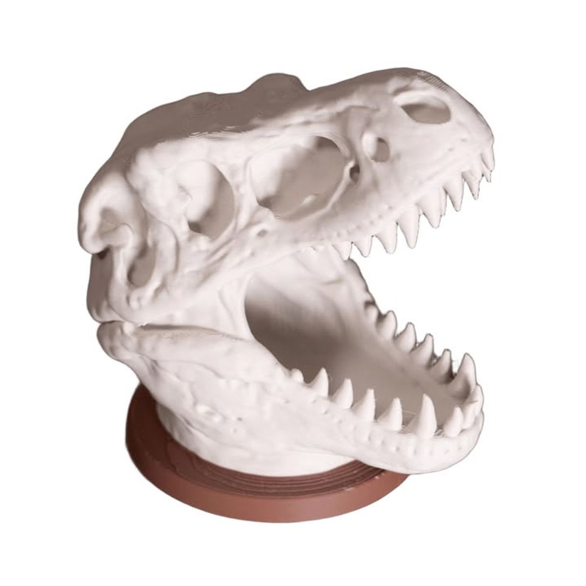 GENERICO - Portalápices - Calavera de T-REX