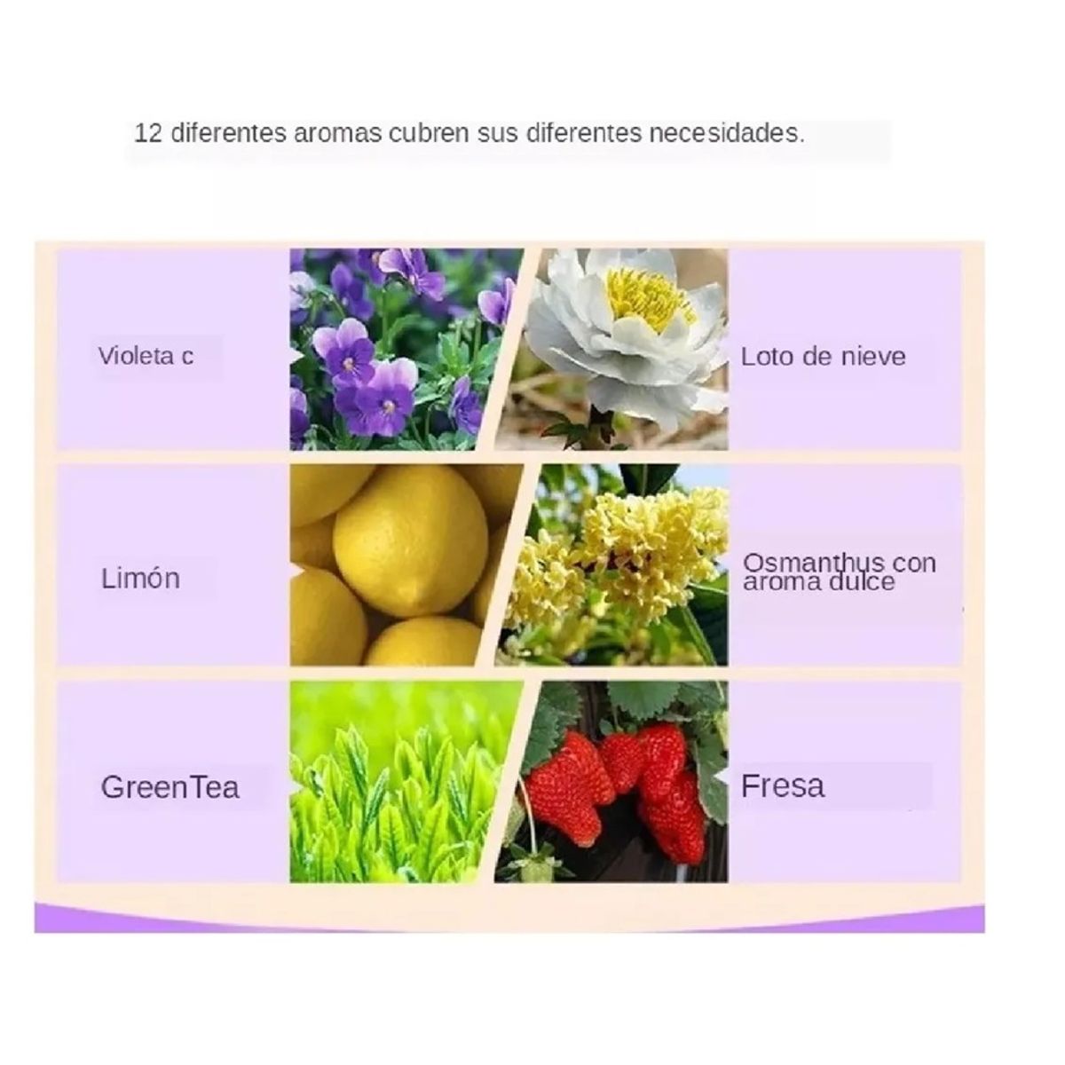 GENERICO - 12 Esencias De Aceite Para Humidificador Y Difusores De Aroma
