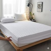 TOPPER CUBRECOLCHON IPERMEANBLE SUPER KING BLANCO