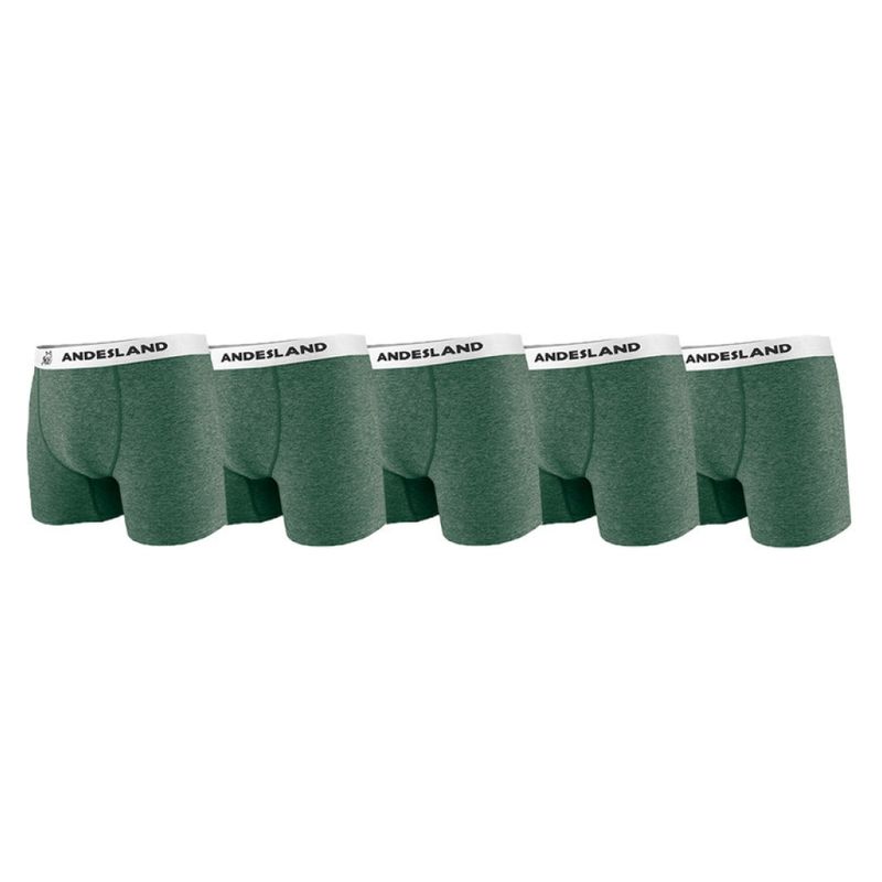 ANDESLAND OUTDOOR APPAREL - Short Interior Hombre Pack X5