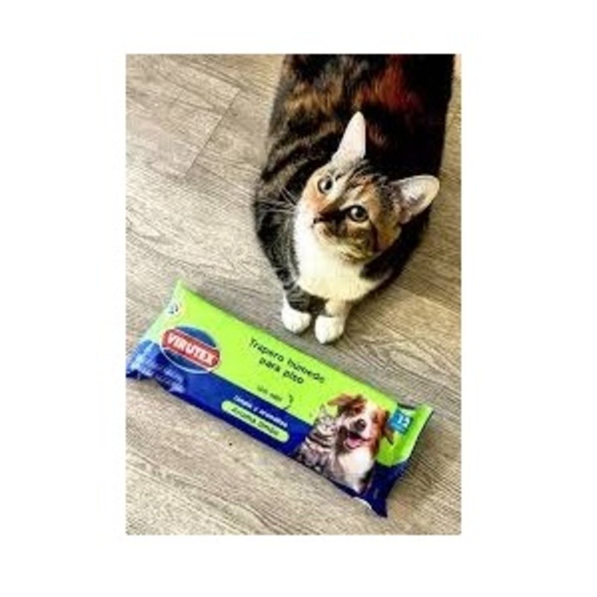 VIRUTEX - PACK X 4 TRAPERO HÚMEDO PETS 12 UND  LIMÓN  VIRUTEX