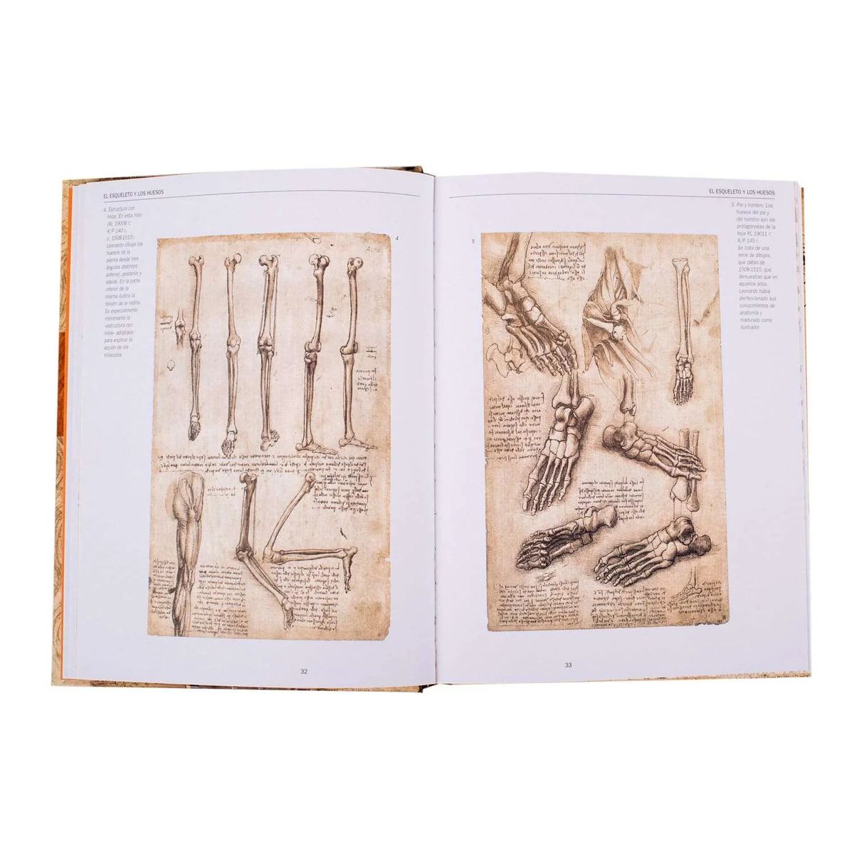LEXUS - Leonardo Da Vinci  Anatomía y Vuelo · Lexus · Tapa Blanda