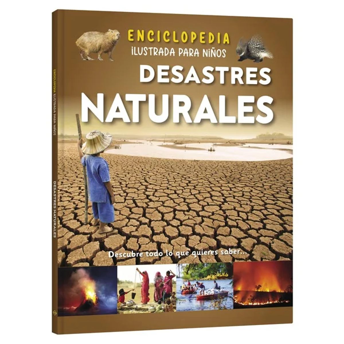LEXUS - Enciclopedia Ilustrada Desastres Naturales  Lexus