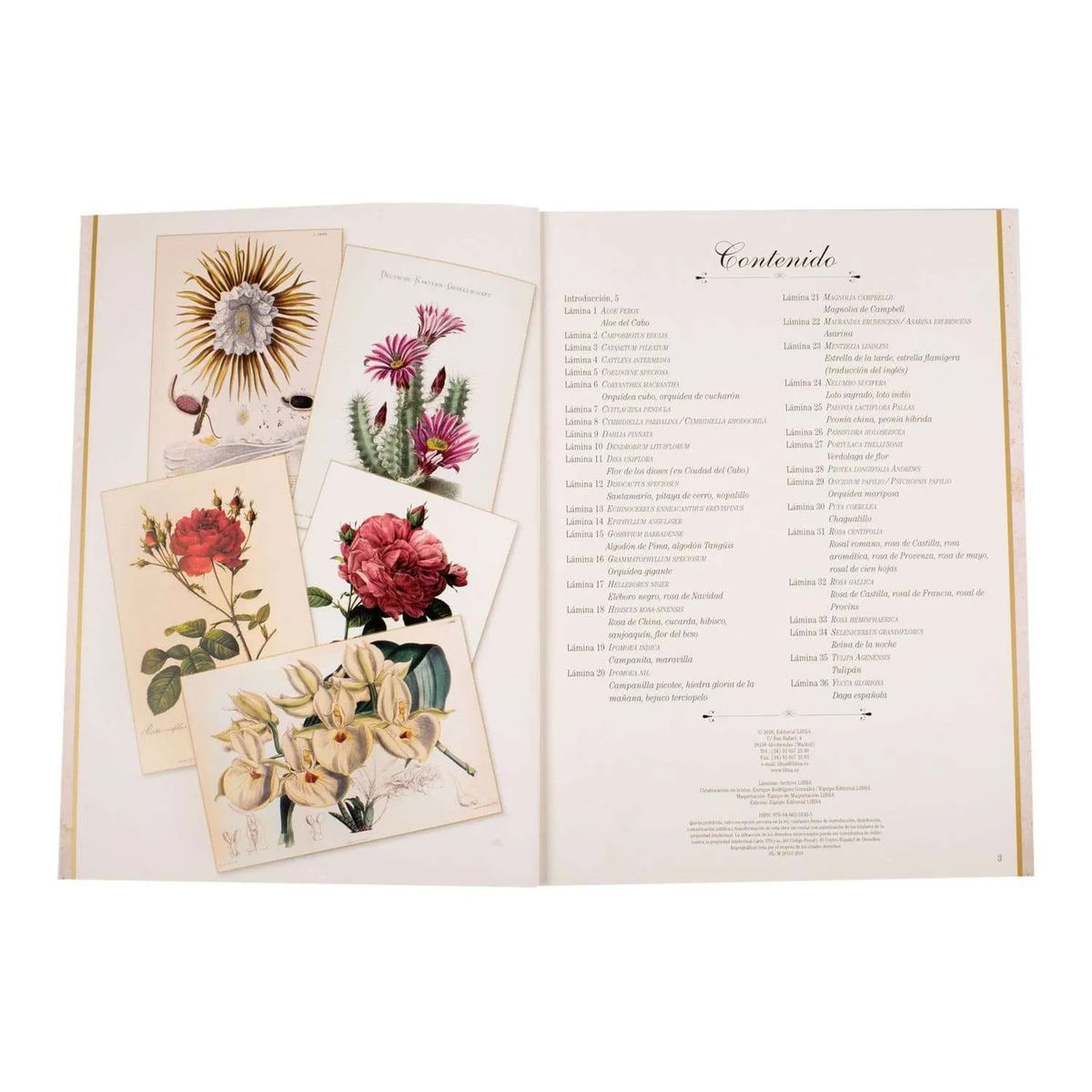 LEXUS - Maravillas de la Botánica  Lexus  Tapa Blanda