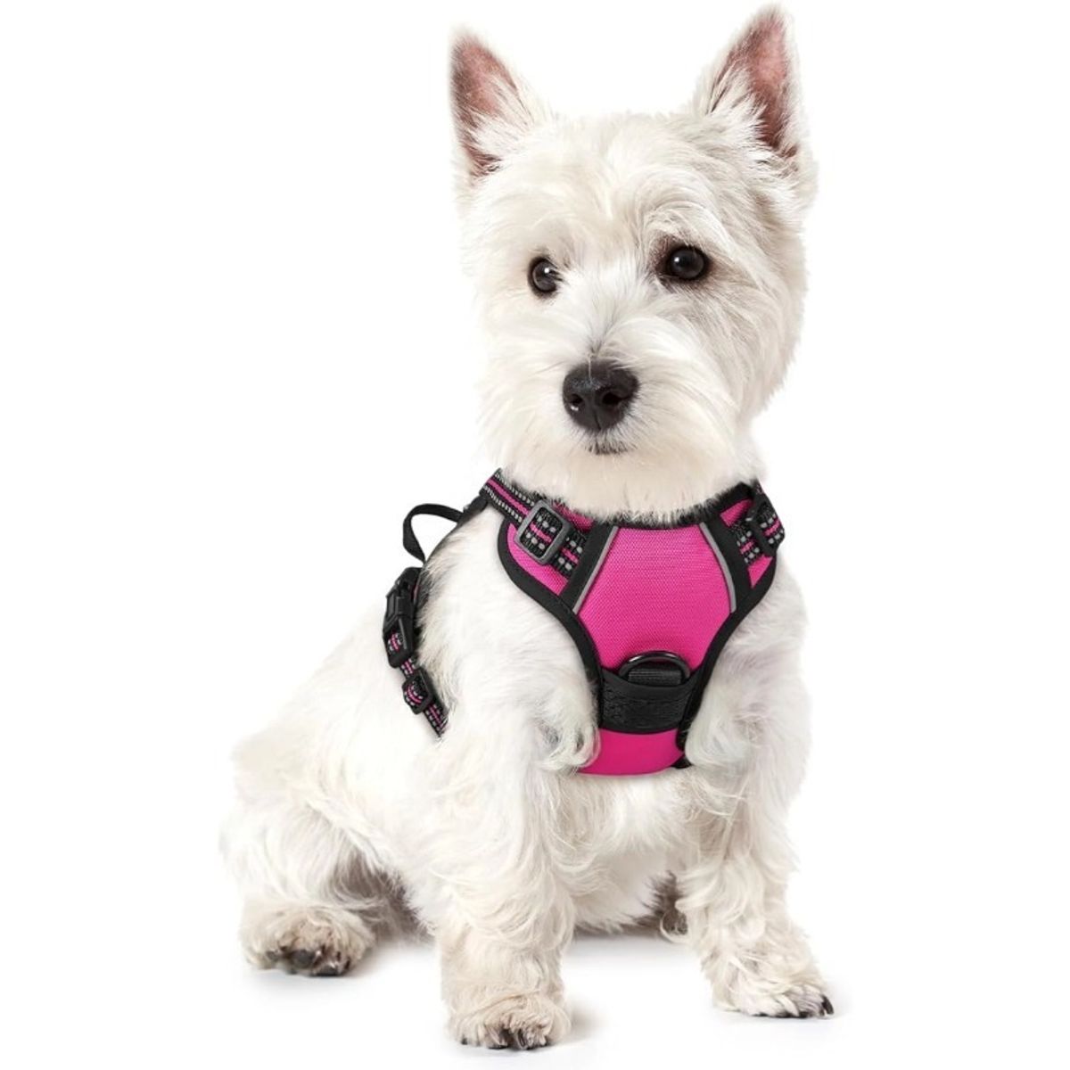 OLEVO - Arnés de Pecho Tipo H para Perro Rosa Fucsia Talla L