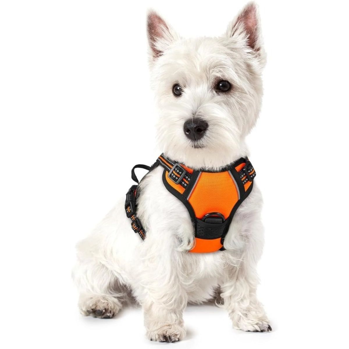 OLEVO - Arnés de Pecho Tipo H para Perro Naranja Talla S