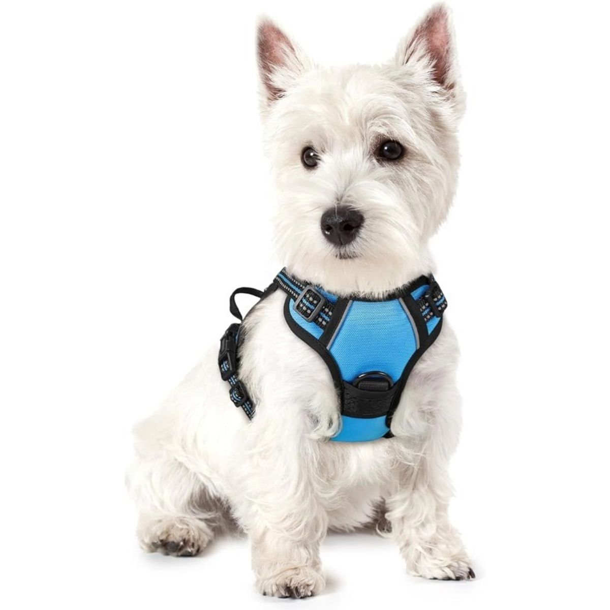 OLEVO - Arnés de Pecho Tipo H para Perro Azul Talla L