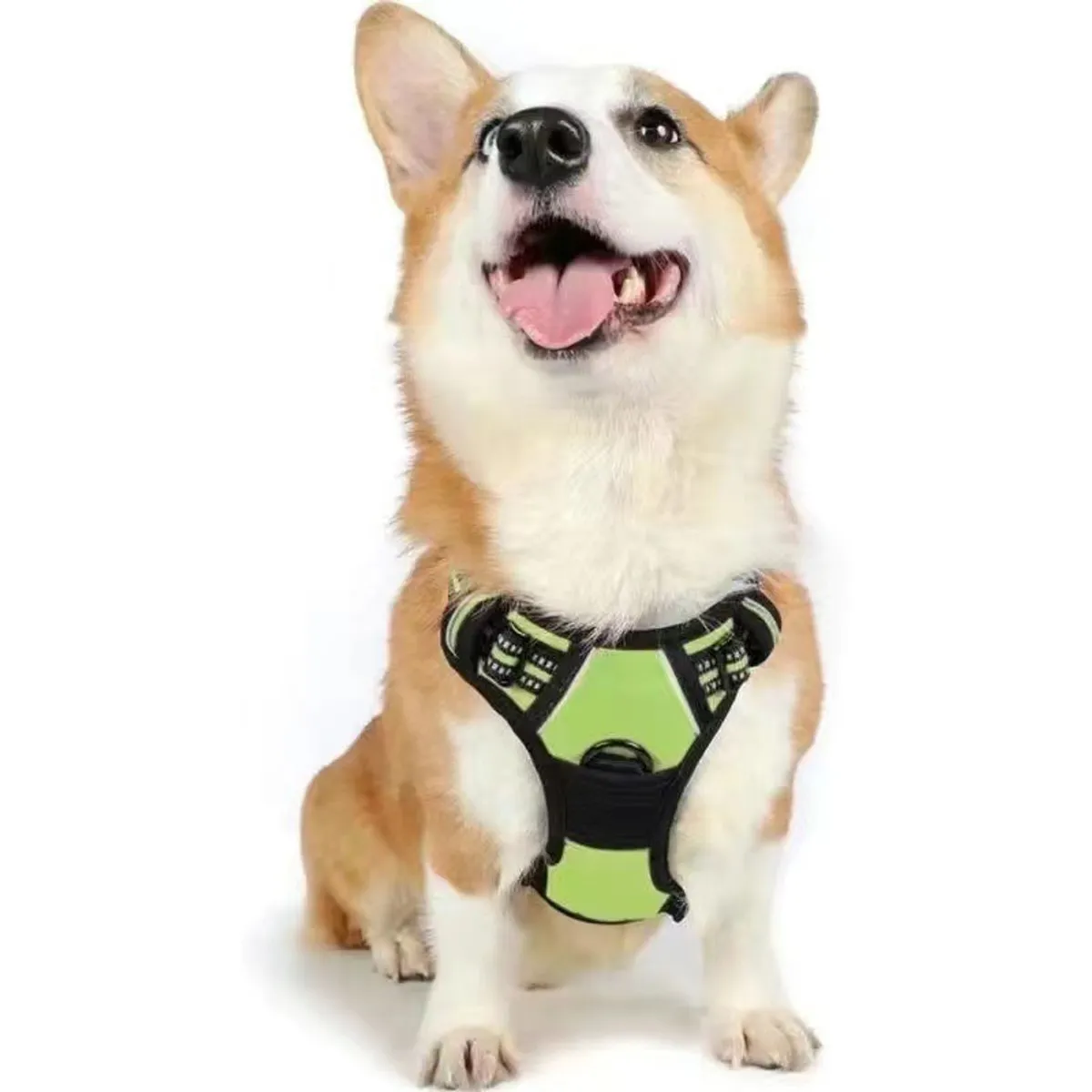 OLEVO - Arnés de Pecho Tipo H para Perro Verde Talla M