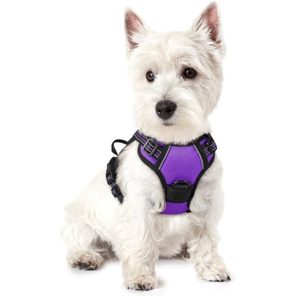 OLEVO - Arnés de Pecho Tipo H para Perro Violeta Talla XL