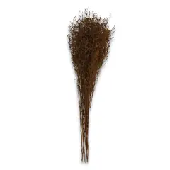 INSPIRACCI - Rama Decorativa Natural 70 cm