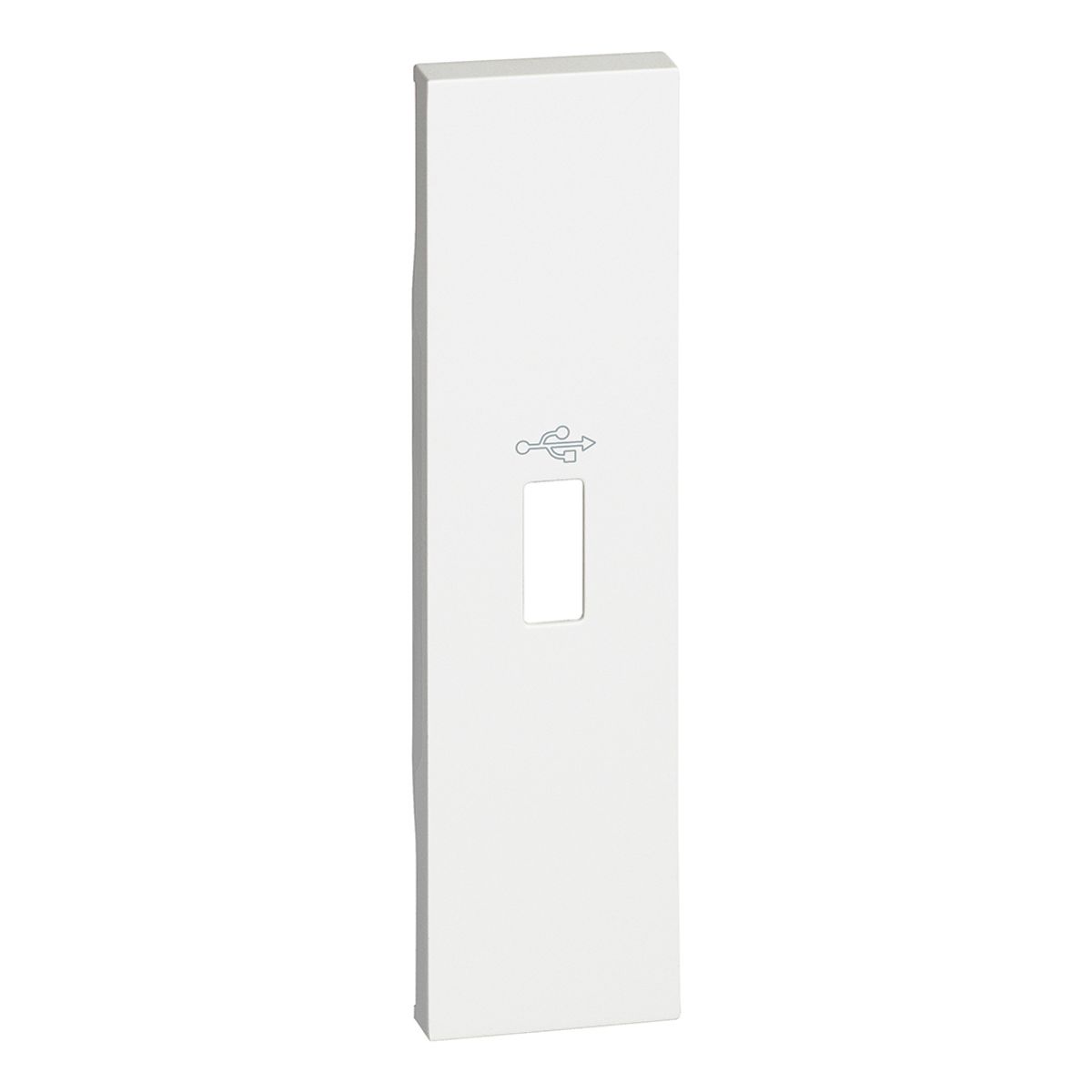 BTICINO - Cubre Tecla 1 Modulo Usb Bticino Blanco Living Now