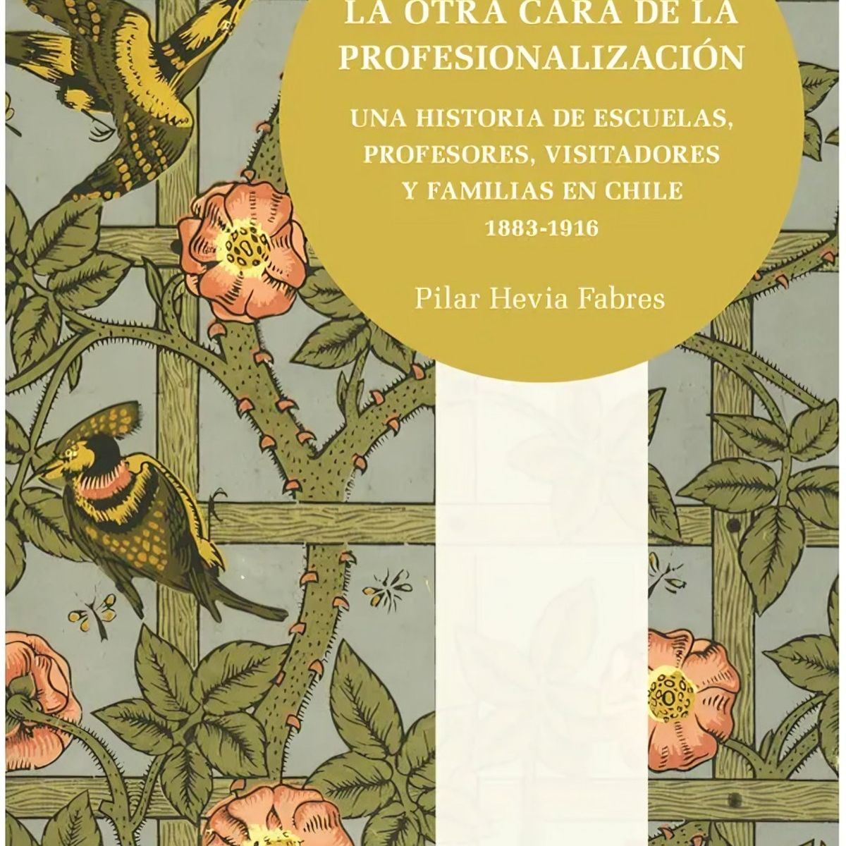 TOP10BOOKS - LIBRO La Otra Cara De La Profesionalización