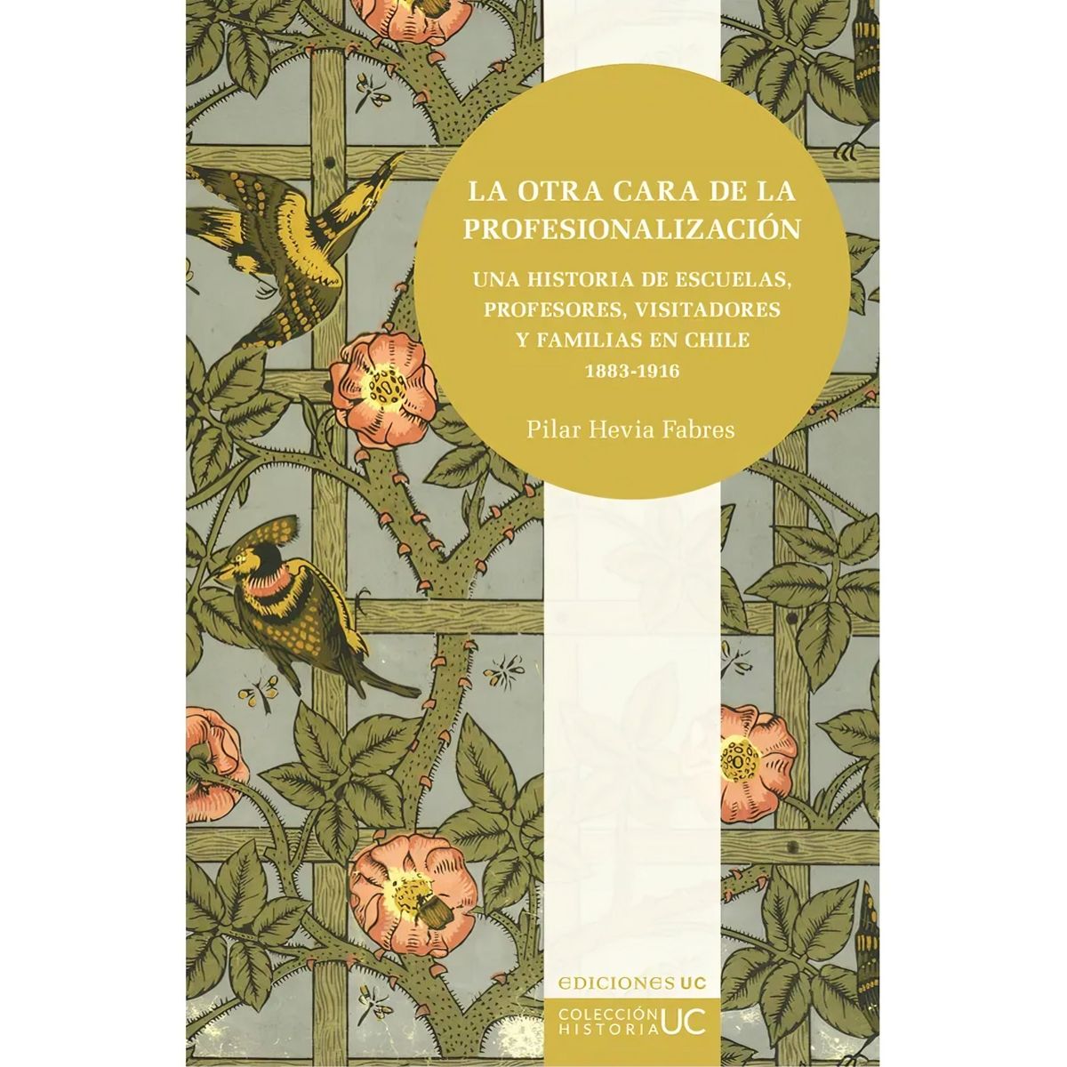 TOP10BOOKS - LIBRO La Otra Cara De La Profesionalización