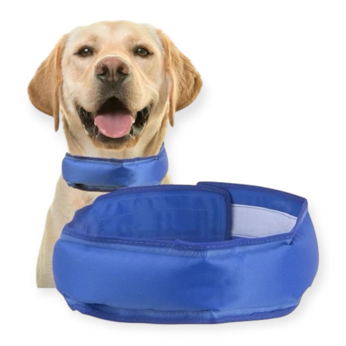 GENERICO - Collar Bandana Refrescante de Gel Para Perros Mascotas Verano T-L