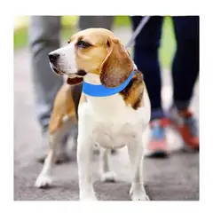 GENERICO - Collar Bandana Refrescante de Gel Para Perros Mascotas Verano T-S