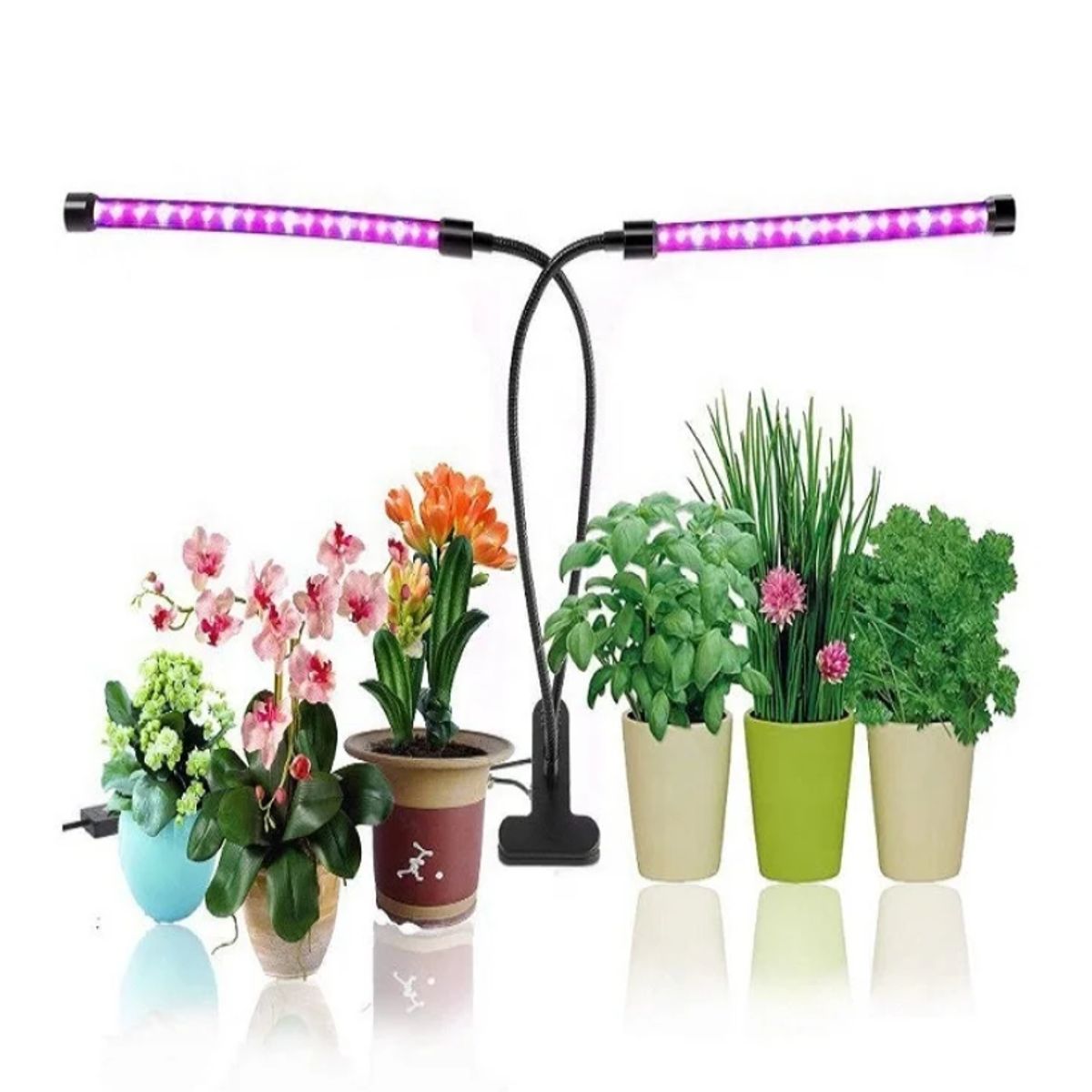 GENERICO - Lámpara de cultivo para plantas de interior de 40 leds