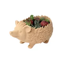 GENERICO - Maceta - Cuenco Erizo