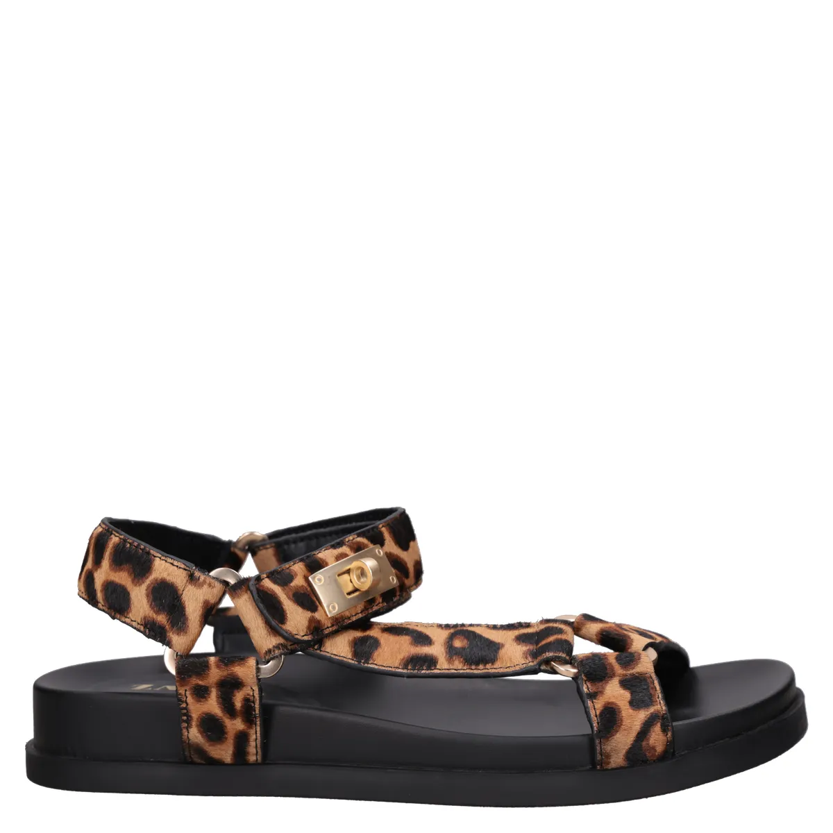 ZAPPA - Sandalia Mujer Casual Marrón Zappa