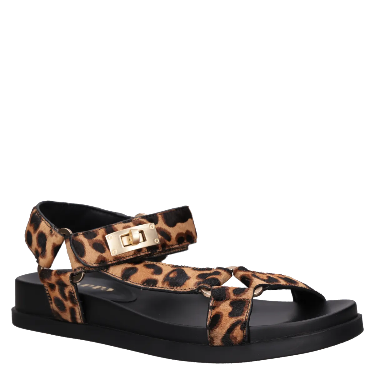 ZAPPA - Sandalia Mujer Casual Marrón Zappa