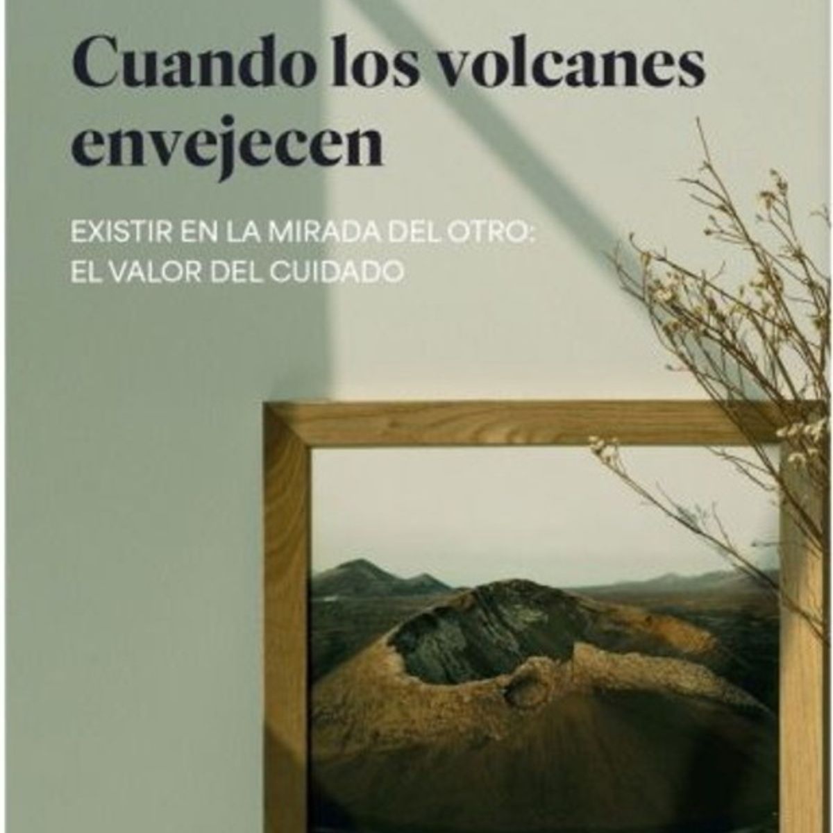 ANTARTICA LIBROS - Cuando Los Volcanes Envejecen