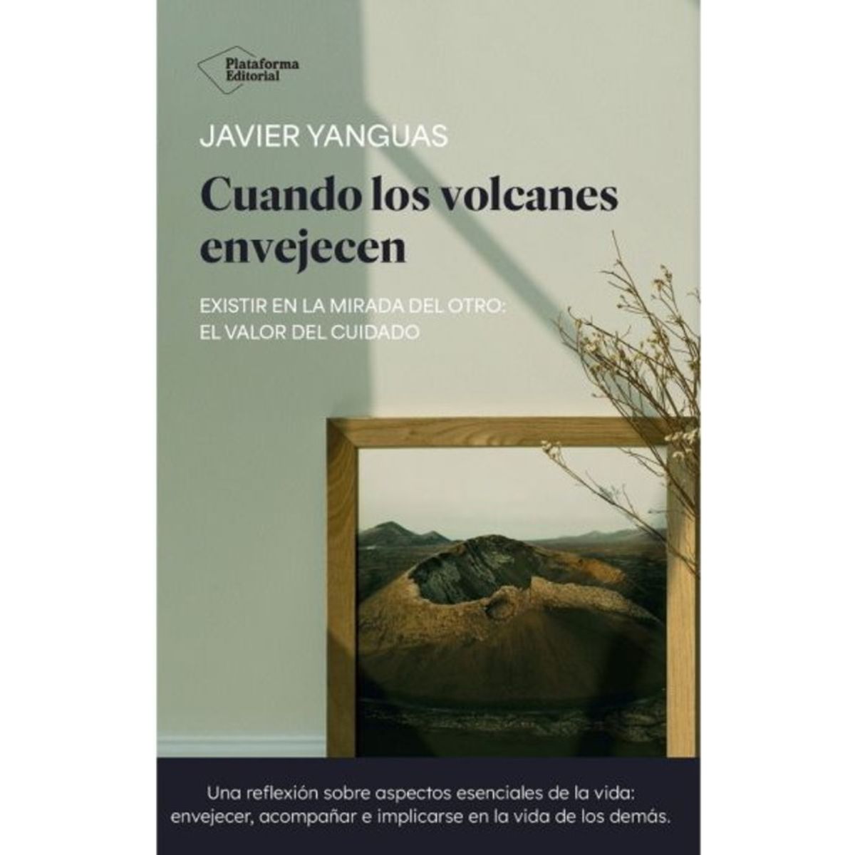 ANTARTICA LIBROS - Cuando Los Volcanes Envejecen