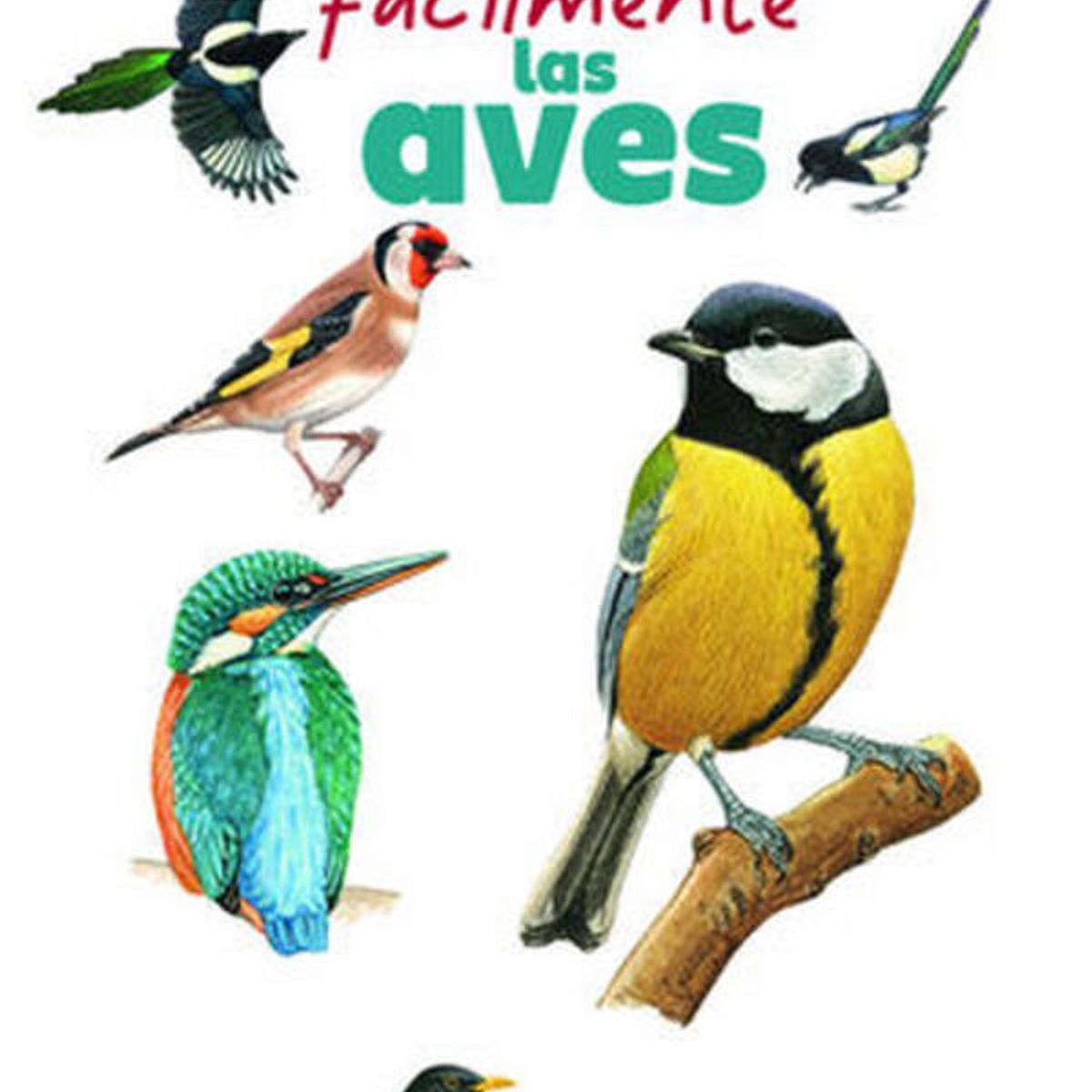 ANTARTICA LIBROS - Reconocer Facilmente Las Aves