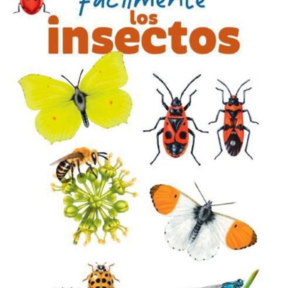 ANTARTICA LIBROS - Reconocer Facilmente Los Insectos
