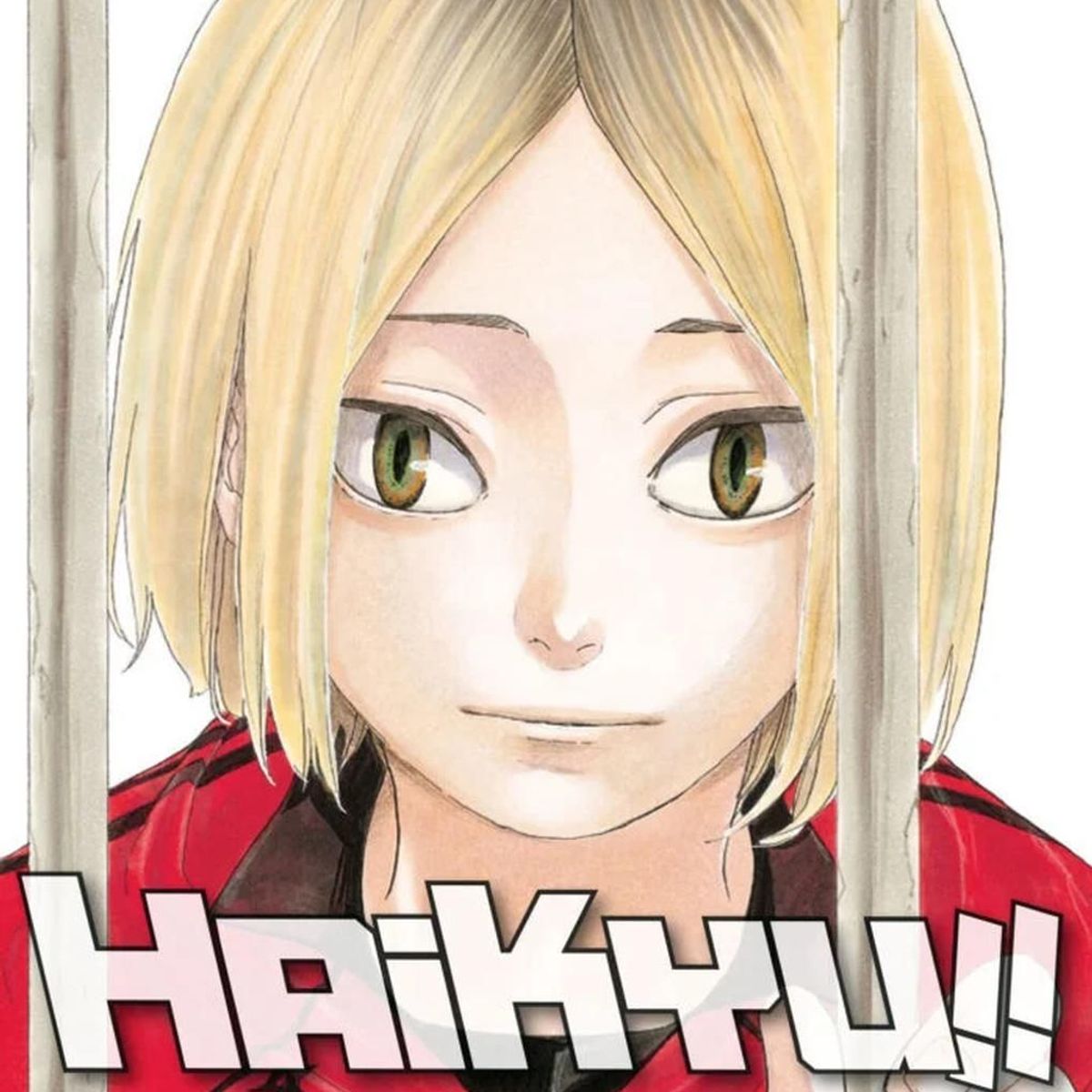 IVREA - Manga Haikyu!! 35 Ivrea Argentina