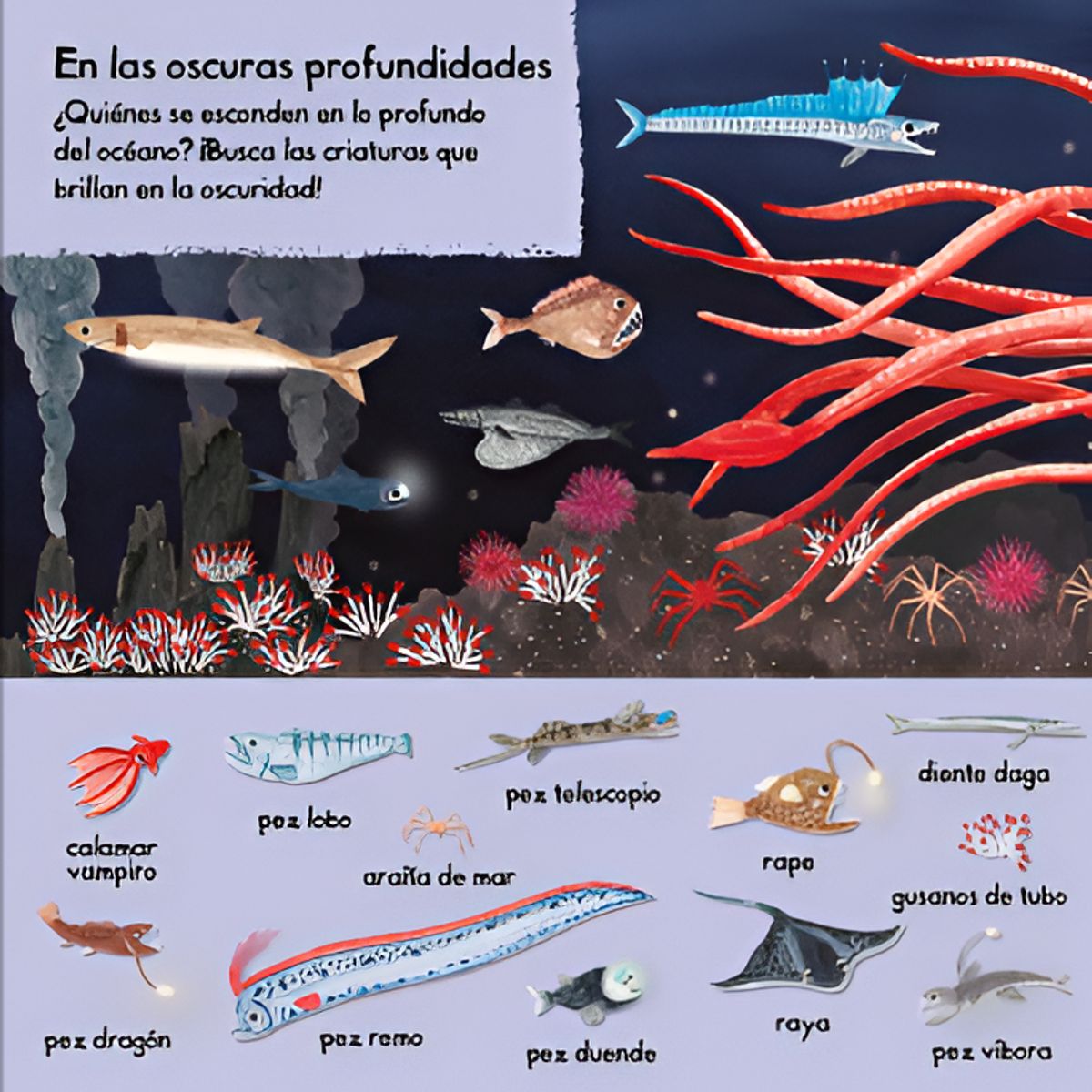 EDITORIAL CONTRAPUNTO - 101 criaturas marinas para descubrir