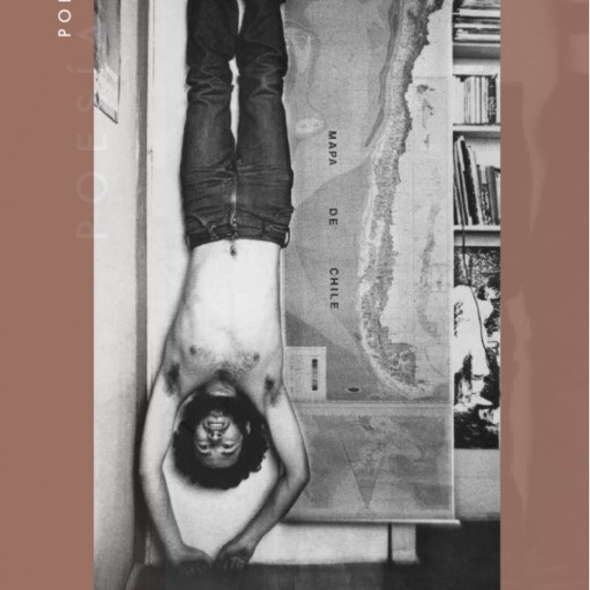 ANTARTICA LIBROS - Vertebras