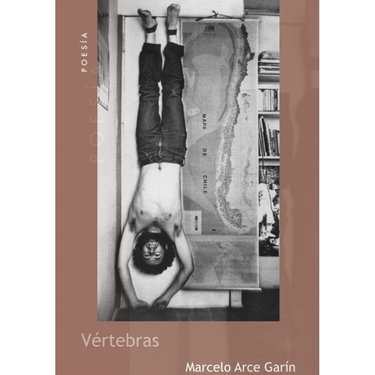 ANTARTICA LIBROS - Vertebras
