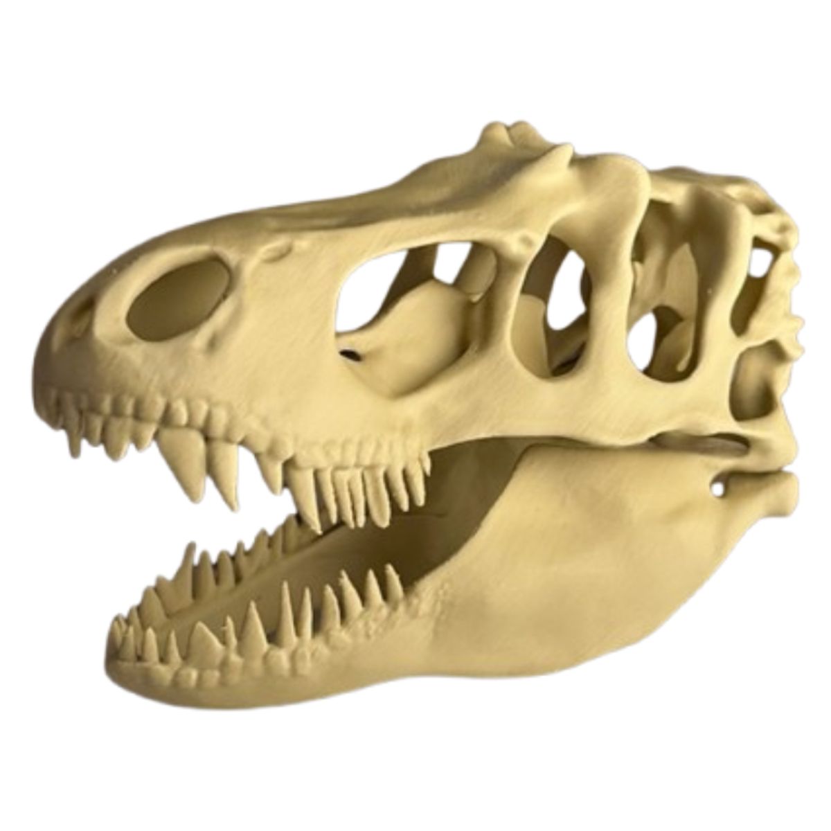 GENERICO - Figura Decoración- Cabeza de T-Rex