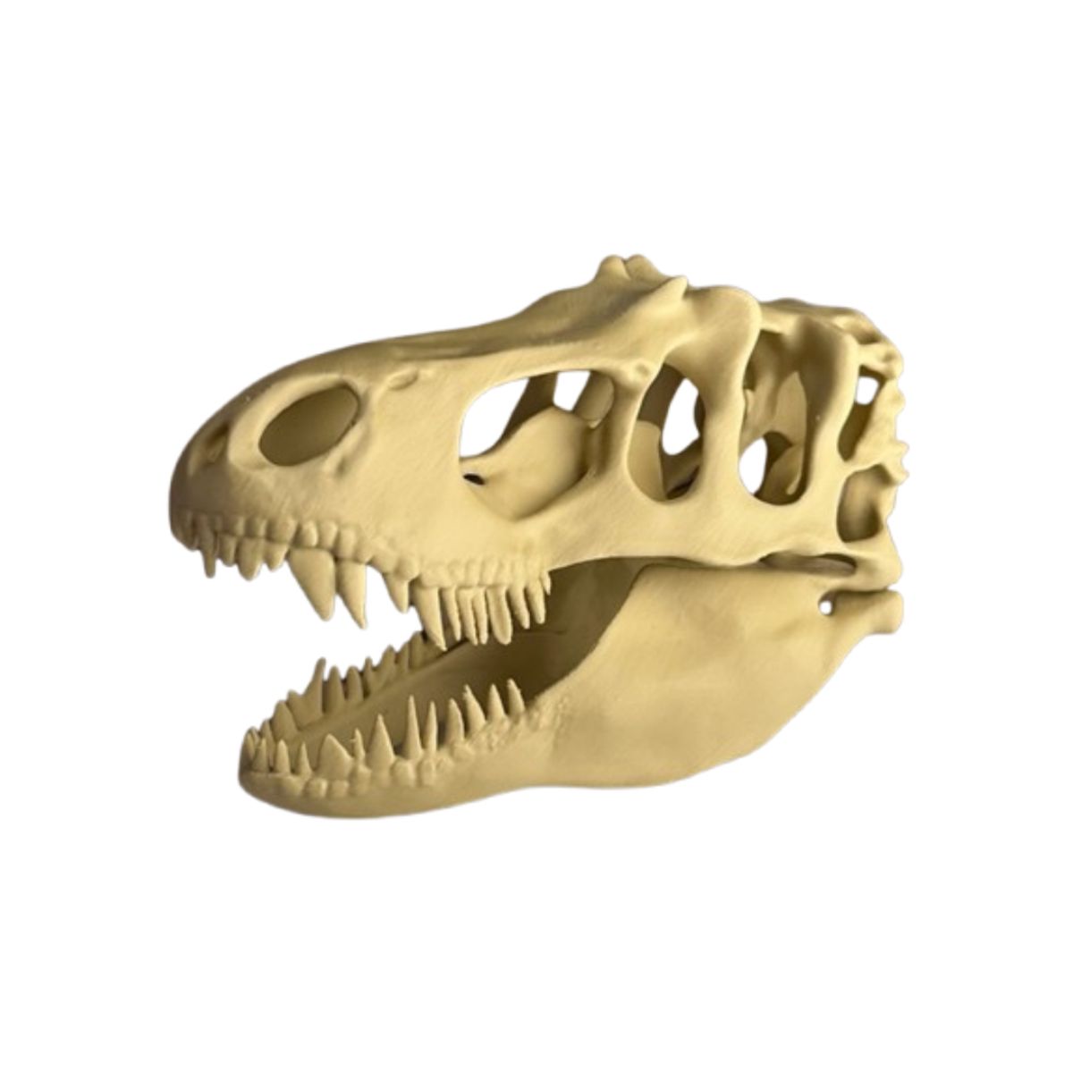 GENERICO - Figura Decoración- Cabeza de T-Rex