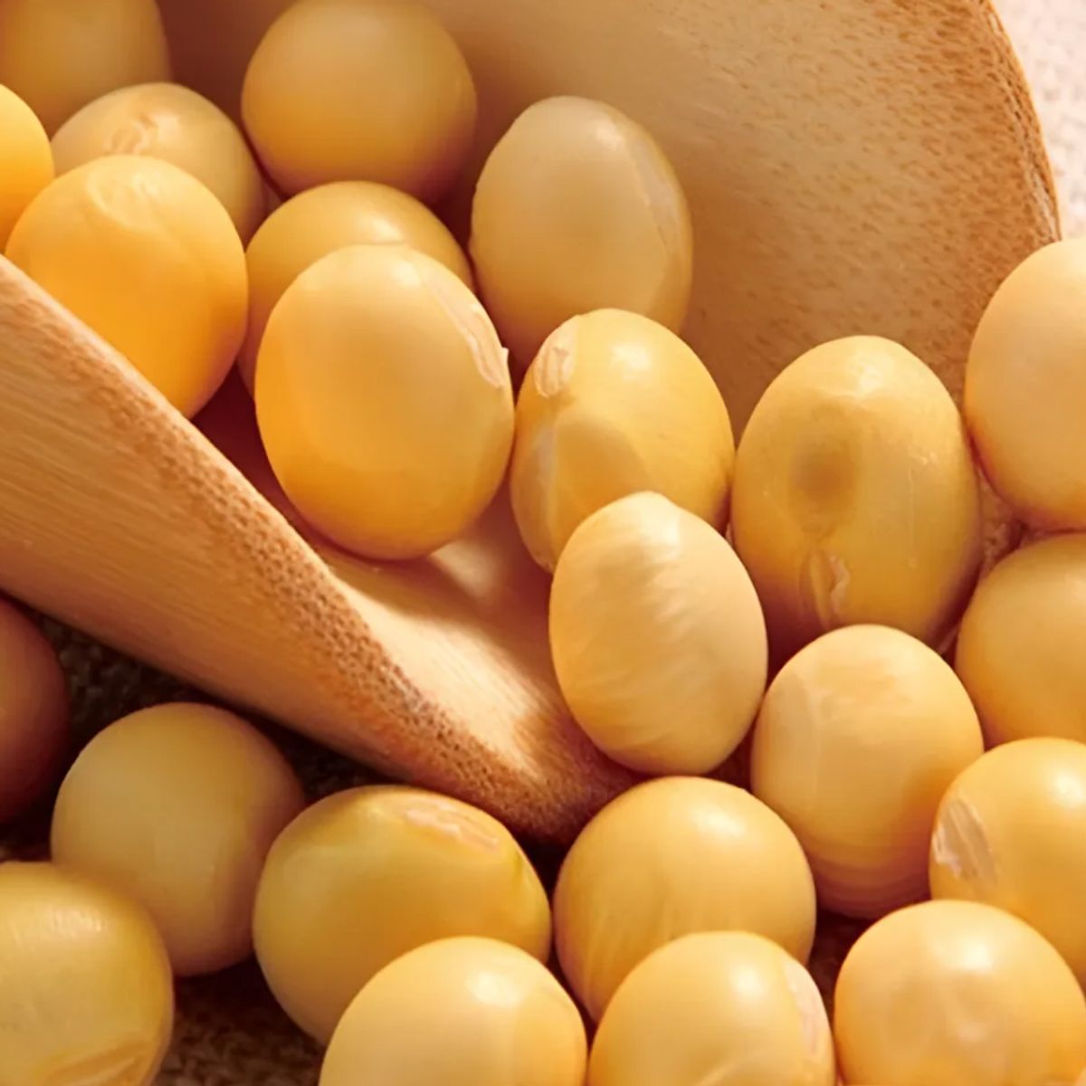 GENERICO - Poroto De Soya  Soja 5kg Argentina