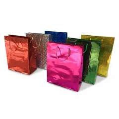 GENERICO - BOLSA DE REGALO HOLEO COLORES SURTIDOS 23X18 CM X12 UNI