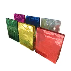 GENERICO - BOLSA DE REGALO HOLEO COLORES SURTIDOS 38X29 CM X12 UNI