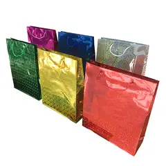 GENERICO - BOLSA DE REGALO HOLEO COLORES SURTIDOS 44X33 CM X12 UNI