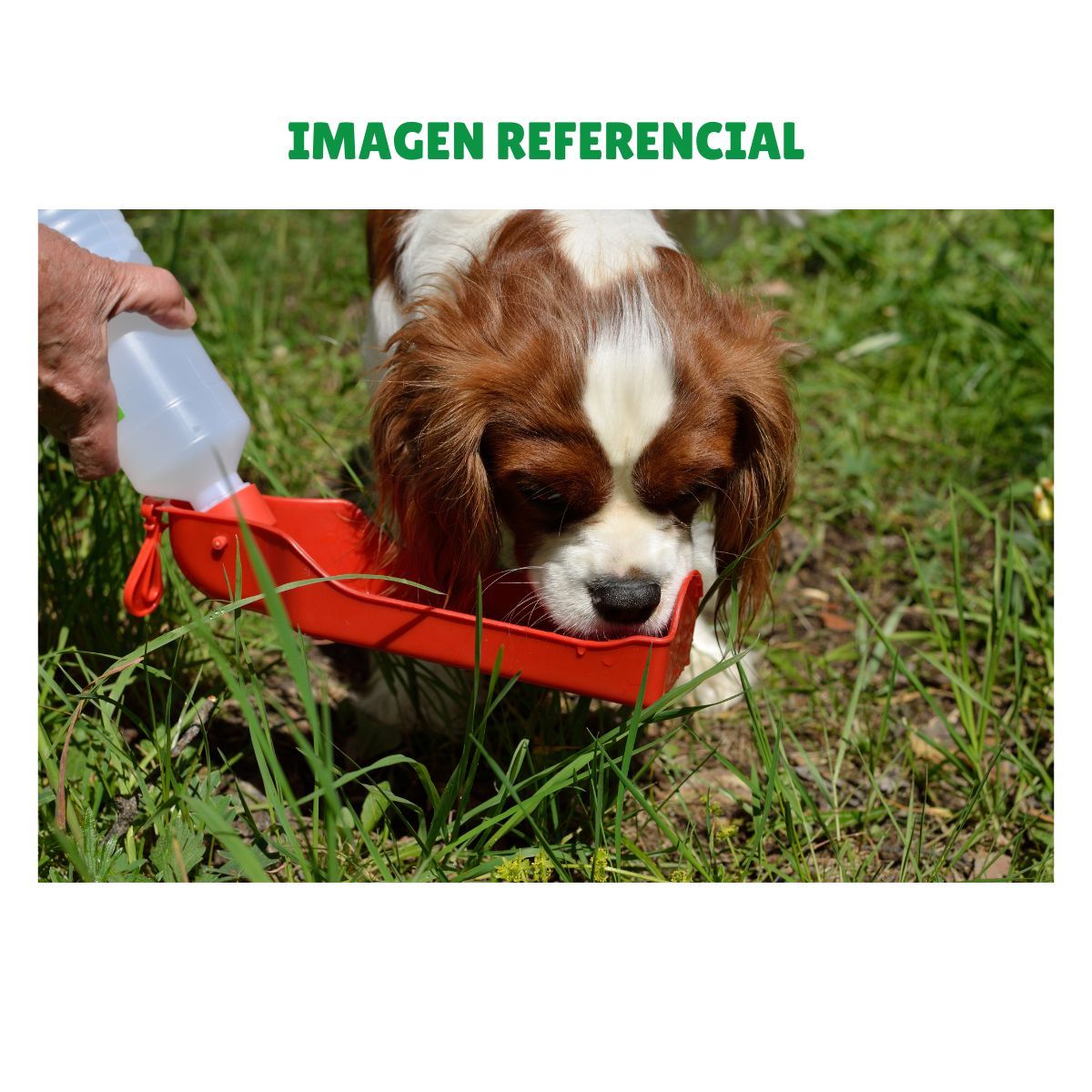 GENERICO - Bebedero Portátil Para Perros Gatos Mascotas 500ml Rosa