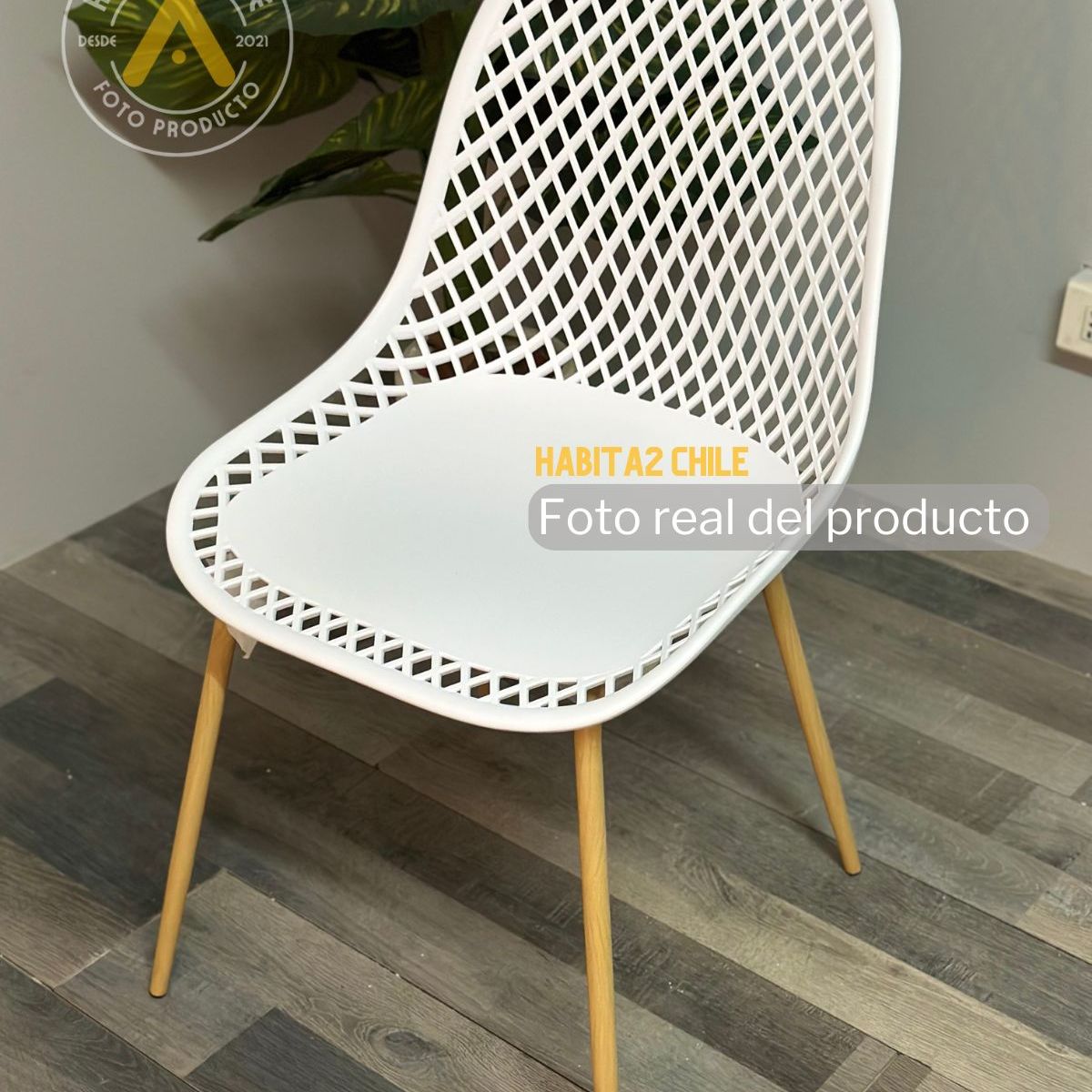 HABITA2 CHILE - Pack 4 silla panal- enrejada de polipropileno