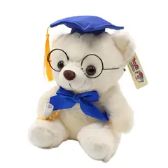 GENERICO - Peluche de Oso Graduación 22cm