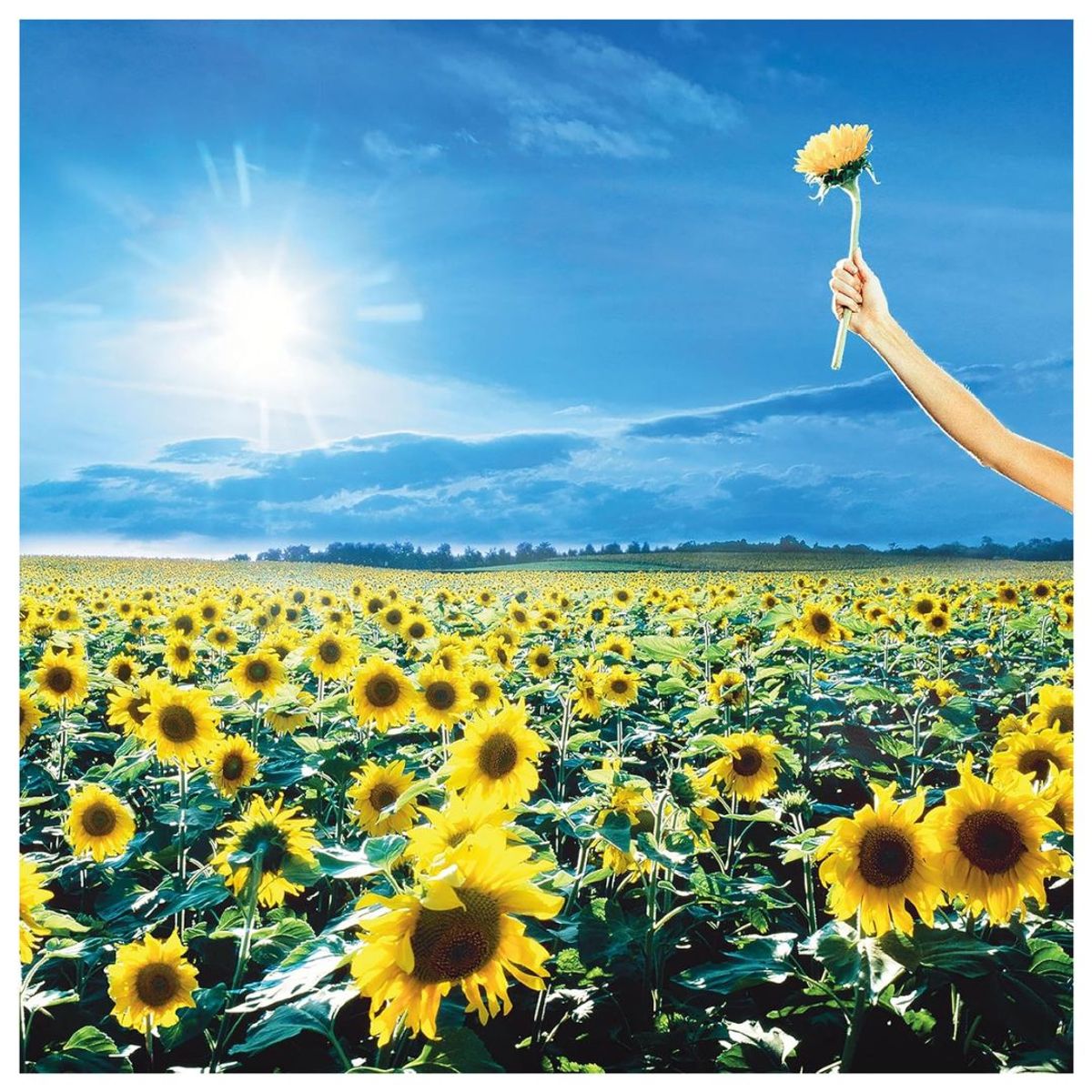 GENERICO - STONE TEMPLE PILOTS - THANK YOU: GREATEST HITS (2LP) / VINILO