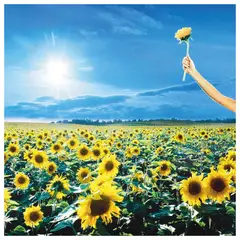 GENERICO - STONE TEMPLE PILOTS - THANK YOU: GREATEST HITS (2LP) / VINILO