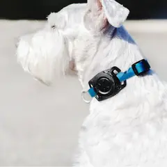 LOGIIX - Porta AirTag para Mascotas Negro